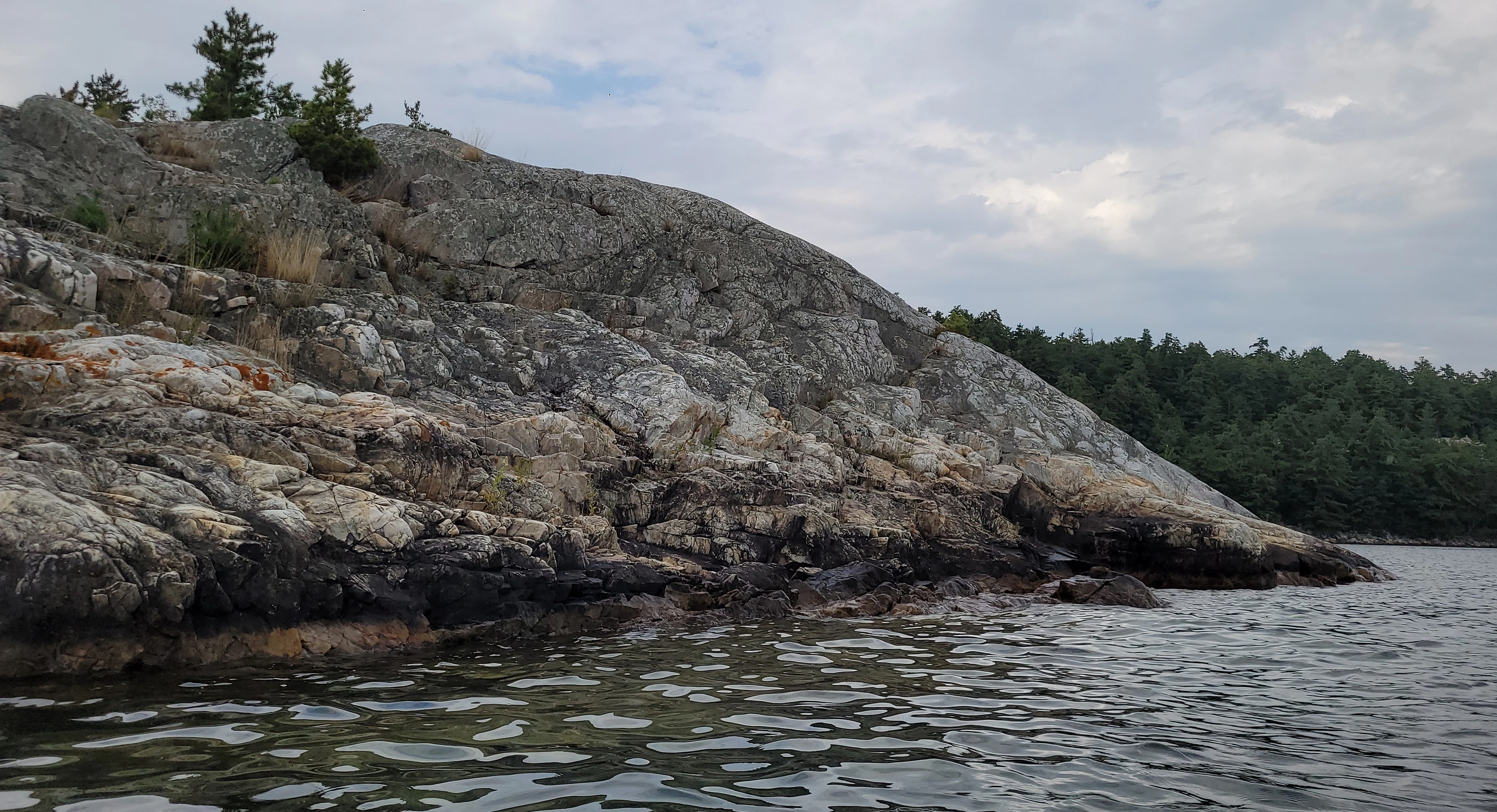 White quartzite rock and pine trees in Killarney Bay